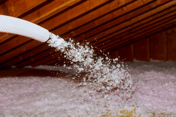 Best Insulation Maintenance and Repair in Portsmouth, VA