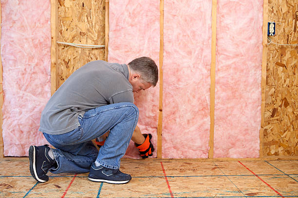 Best Residential Insulation in Portsmouth, VA
